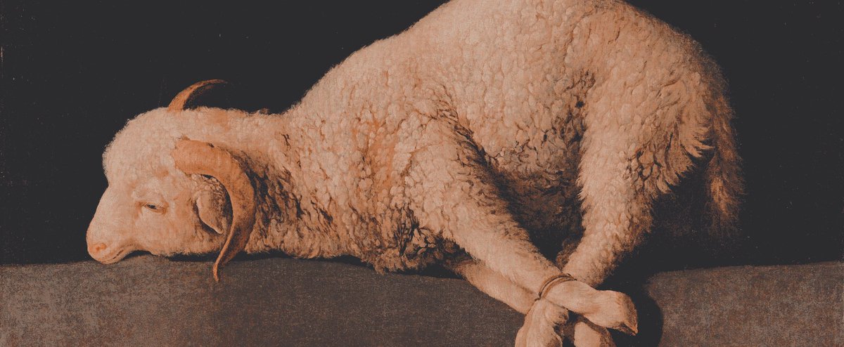 stitcherisma's tweet image. 