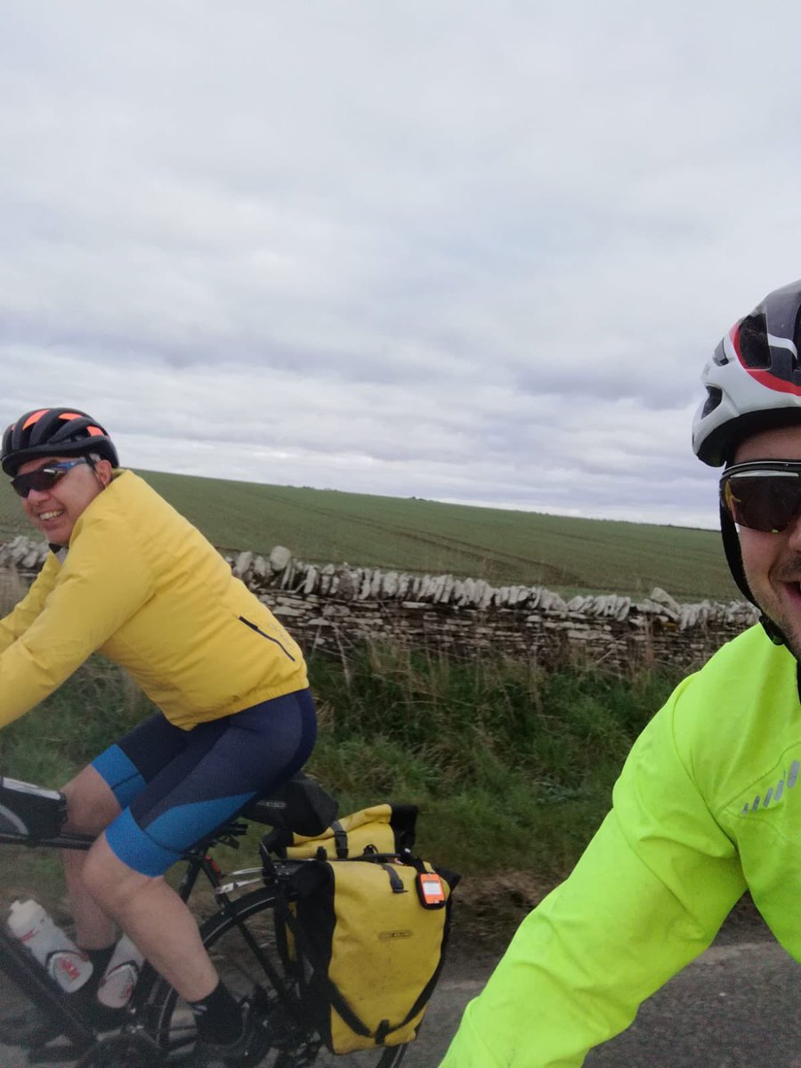 Swallowologist tweet media