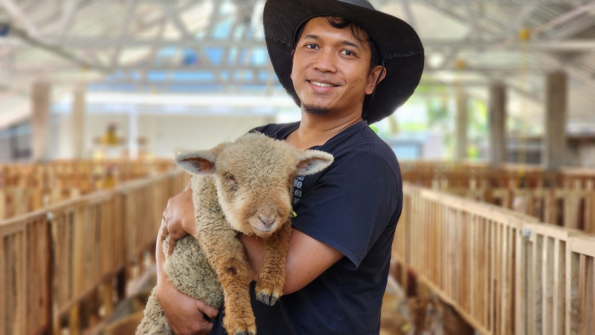 Alih-alih mengadu domba dengan SK Buzzer Rahasia , saya memilih memelihara domba untuk membantu para janda, anak yatim dan fakir miskin yg ada.
mungkin anda tampak berharga di hadapan penguasa.tapi sadarlah, anda gak lebih dari pion yg siap dikorbankan kapan saja demi kekuasaan.