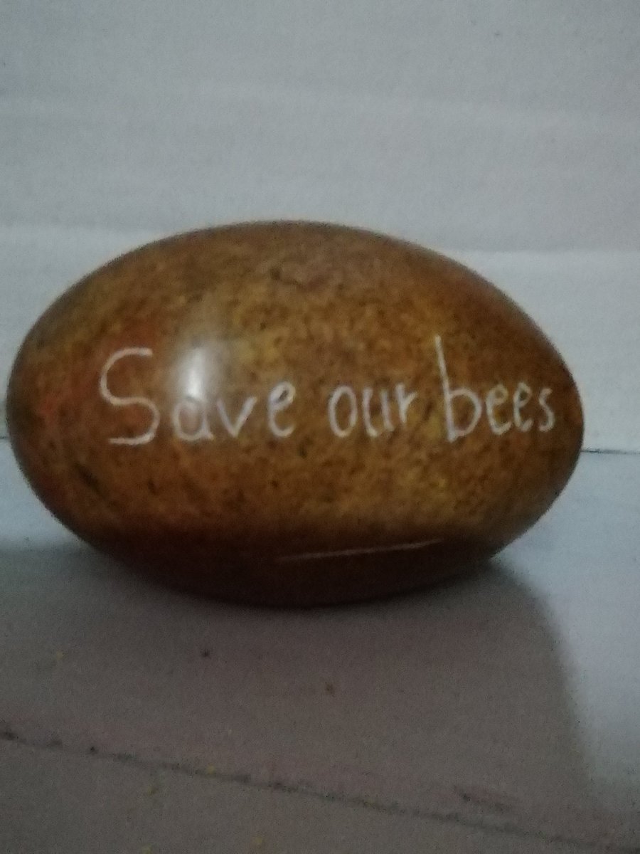 SmilingAnalyst's tweet image. #saveourbees #bees #greatyarmouth #gifts