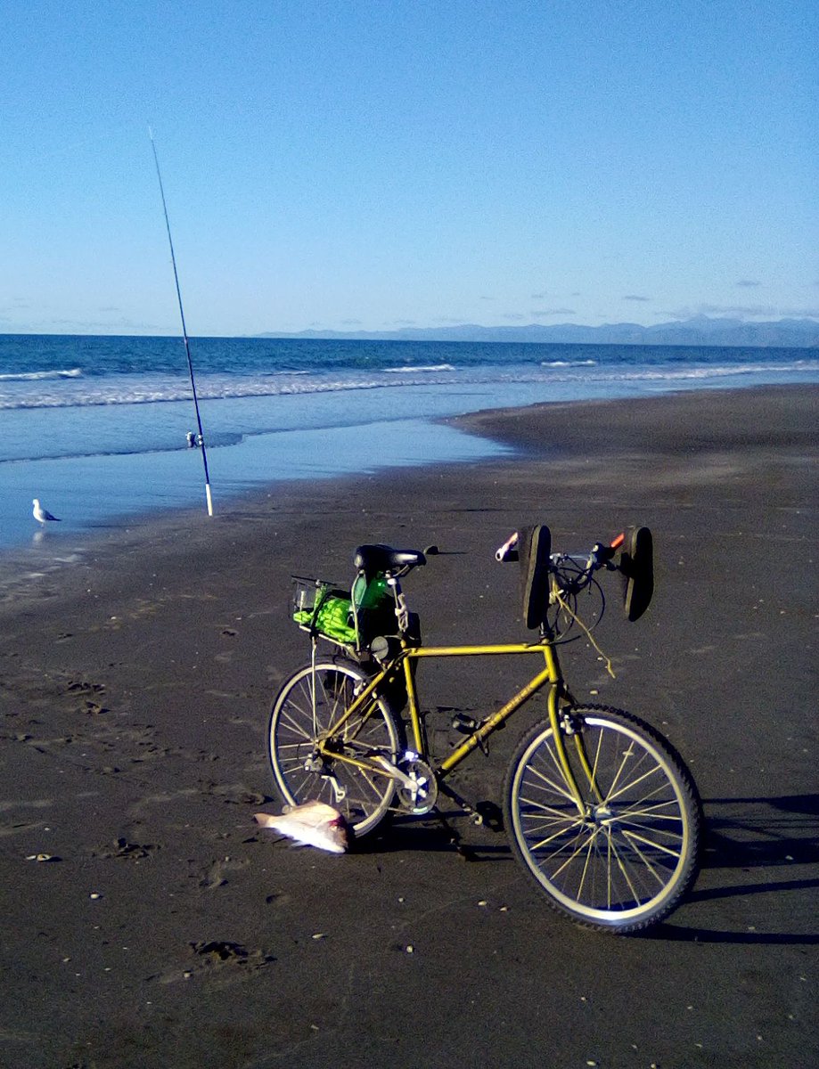 transparency_a1's tweet photo. Cracking day . #fishfortea
Bike from rubbish tip as well as rod and reel . โป๏ธ๐๐ Bike is a"Gary Fisher -Marlin" so apt. https://t.co/QPX9dkSBd9