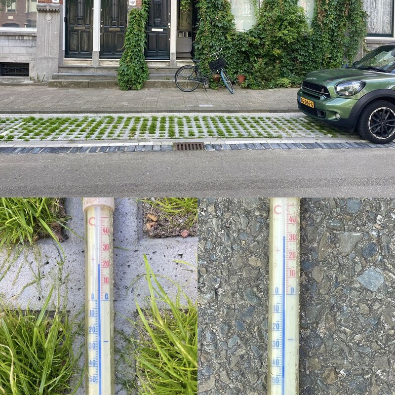 Lior Steinberg tweet media