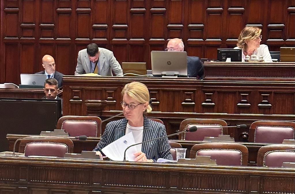 Sandra_Savino's tweet photo. Alla Camera dei Deputati
Promozione e sviluppo delle start-up e delle PMI mediante agevolazioni fiscali e incentivi agli investimenti
#PMI
#start-up
#forzaitalia
#BerlusconiPresidente https://t.co/KLtiNHFBf1