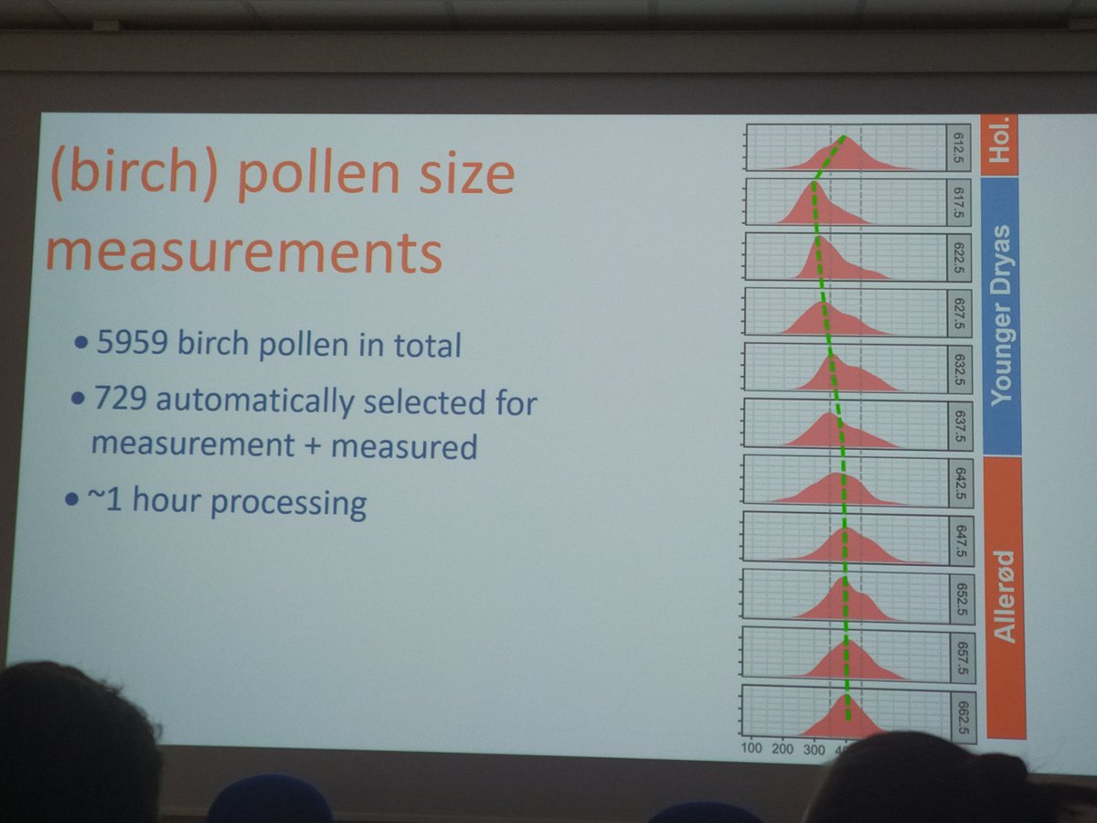 @ucfagls Martin Theuerkauf presents a summary of the progress of automatic classification of (but not only) #fossilpollen with a focus on time efficiency! An additional example of trait change!  IMHO, this is the future of #palynology