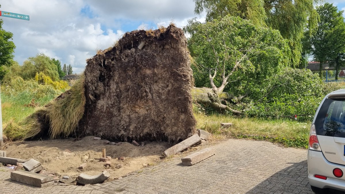 MaartenvanAtten's tweet photo. #Stromschade of 'gewoon' stom aangelegd? https://t.co/mlBEyIzh23