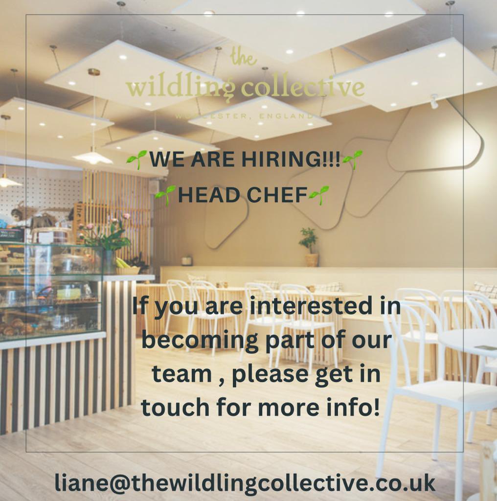 ashbeckz's tweet photo. The wildling collective is hiring ! Please get intouch! 🥙🥗🍳 https://t.co/Yozw2V8TfX