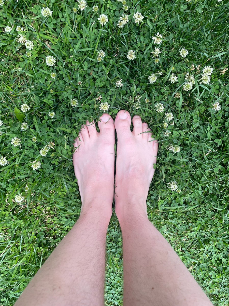 Adam • Gardener • Writer • Podcaster tweet media