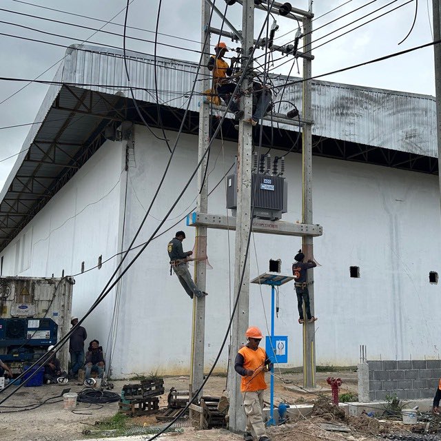 Golden Triangle Greens on Twitter: "GM green fam! Thank you for your