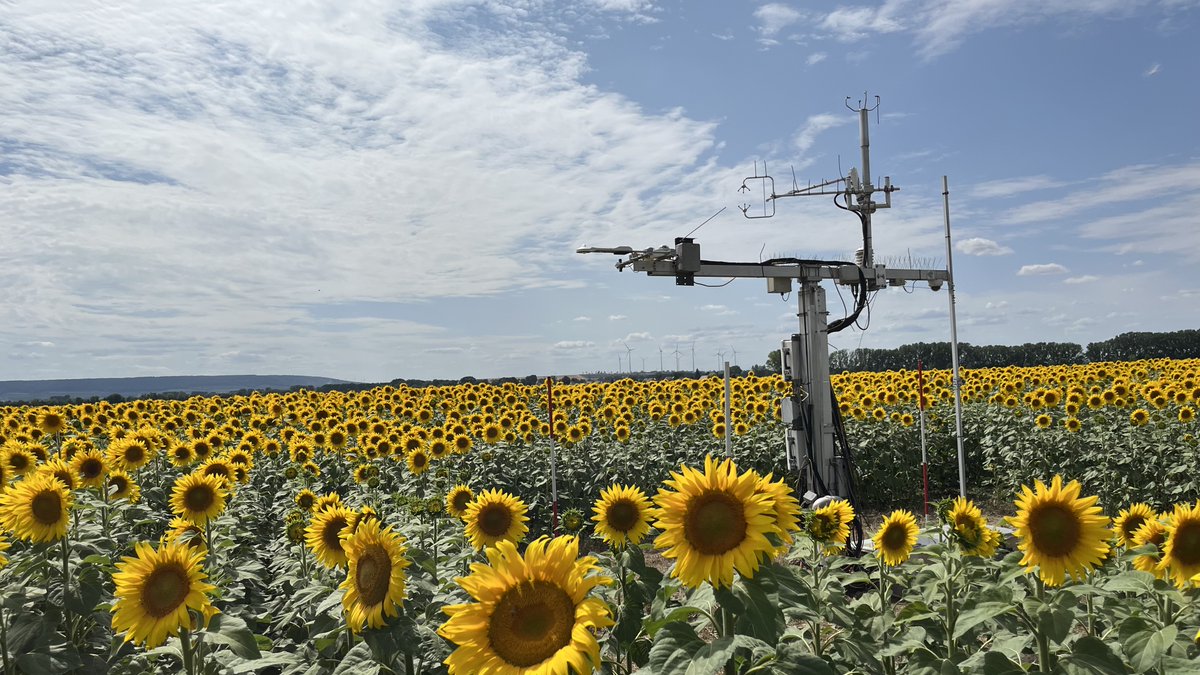 Welcome to the ICOS station Gebesee in Germany! Gebesee is one of the longest-running eddy covariance cropland sites in the ICOS network, collecting data for 22 years.