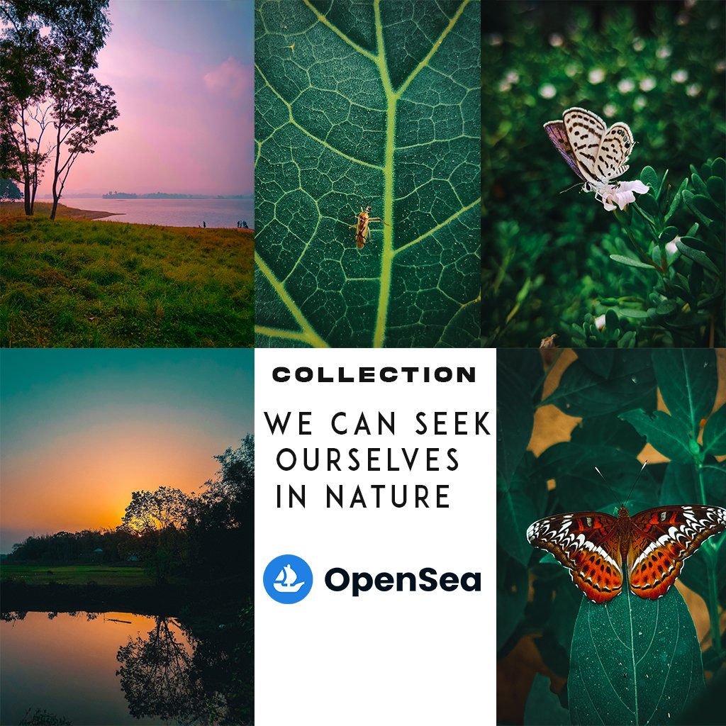 SaikatDasPhoto1's tweet image. My Nature Photography. NFT Artist

Photo Collection - "We Can Seek Ourselves In Nature" @opensea 

Link - ⬇️ opensea.io/SaikatDasPhoto…

I'd be grateful for your Retweet
🙏🏻🙏🏻

#nftart #NFTCollection #NFTCommunity #NFTartists

Please Support Me