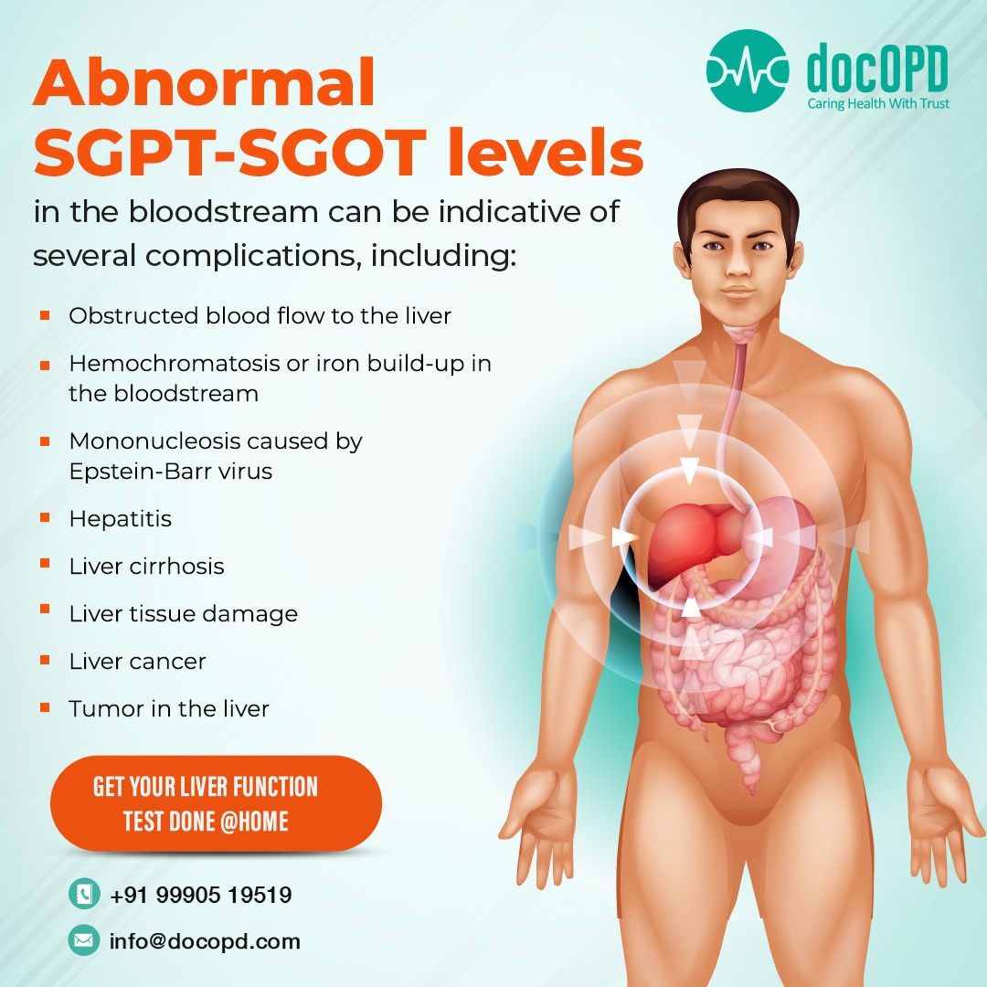 Abnormal SGPT-SGOT levels in the bloodstream can be indicative of several complications.
Get your liver function test done @ home.
#liverhealth #liverfunction #liverfailure #docOPD