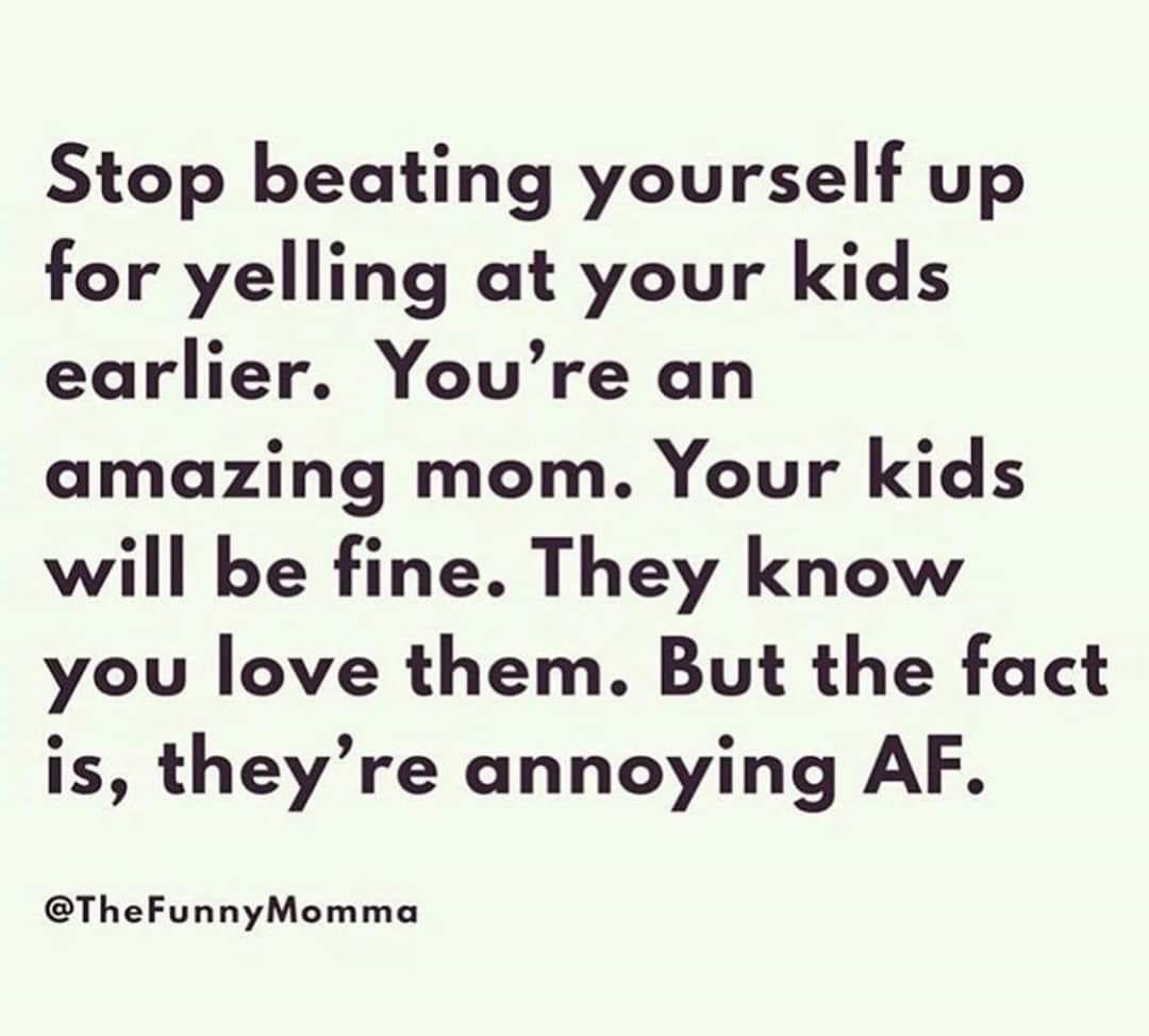 dippyhippie's tweet photo. For all parents about to enter the 6 weeks Summer Feral Phase of the the year. #goodenoughparents #letsbecarefuloutthere #maytheoddsbeeverinyourfavor #seeyouontheothersidechaps https://t.co/9L9MrUqy5g