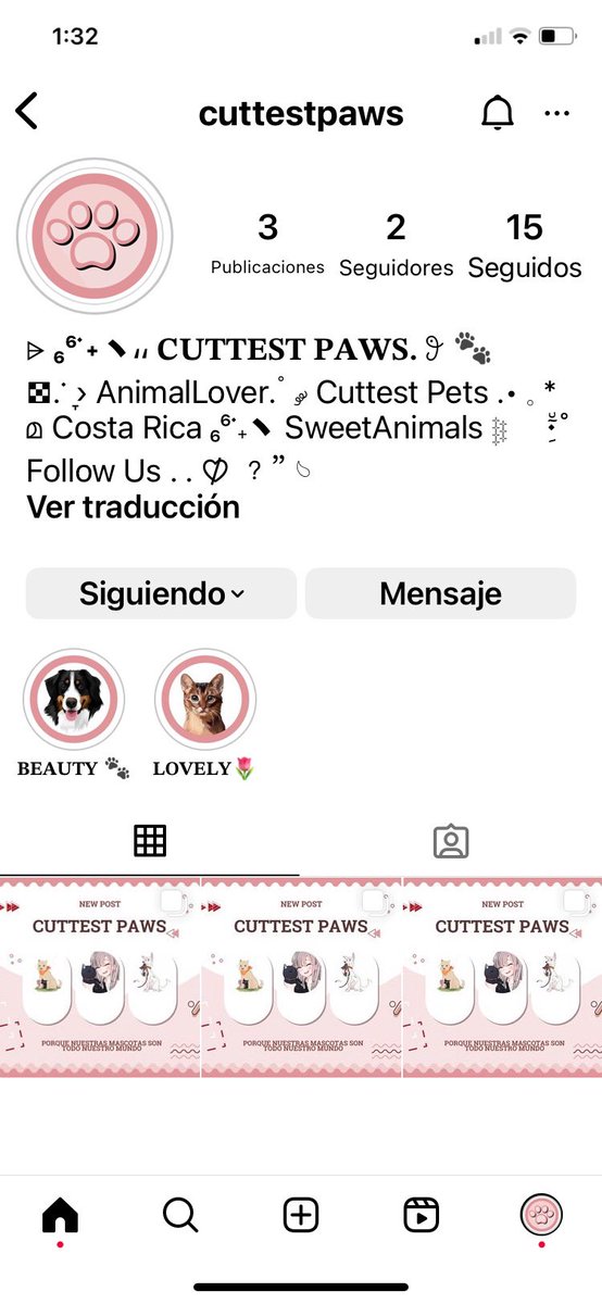 Les vengo a recomendar esta cuenta de mis mascotas, si gustan seguirlas serán sumamente bienvenidos (as). Espero subir más cositas prontito.
#mascotas #gatos #perros  #AnimalLovers #petlovers #SiguemeYTeSigo