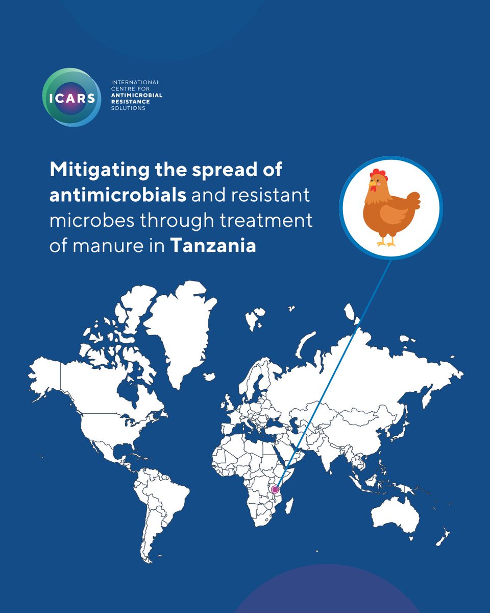 🔎 Targeting the #environmental factors of #AMR in our project with Tanzania.

🦠 Antimicrobial residues in manure risk spreading resistant pathogens throughout the food chain.

⚙️ Introducing a cost-effective technology can be the answer.

Learn more ➡️ bit.ly/3K34nqW