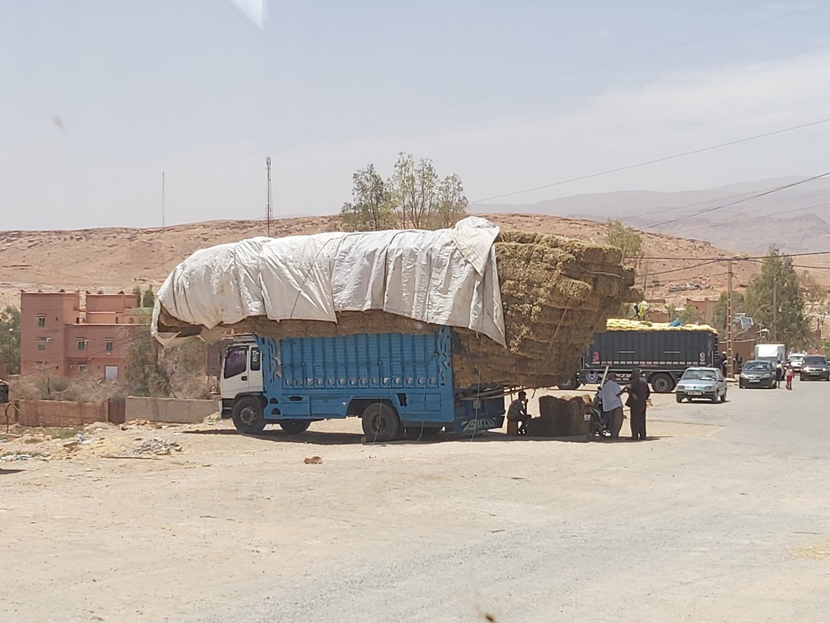Ein schönes schattiges Plätzchen unter Strohballen. #Reise #Urlaub #goexplore #travelingislife #letsgosomewhere #traveladventures #traveladdicts #travelover #travelphotography #travelislife #welivetotravel #reiselust