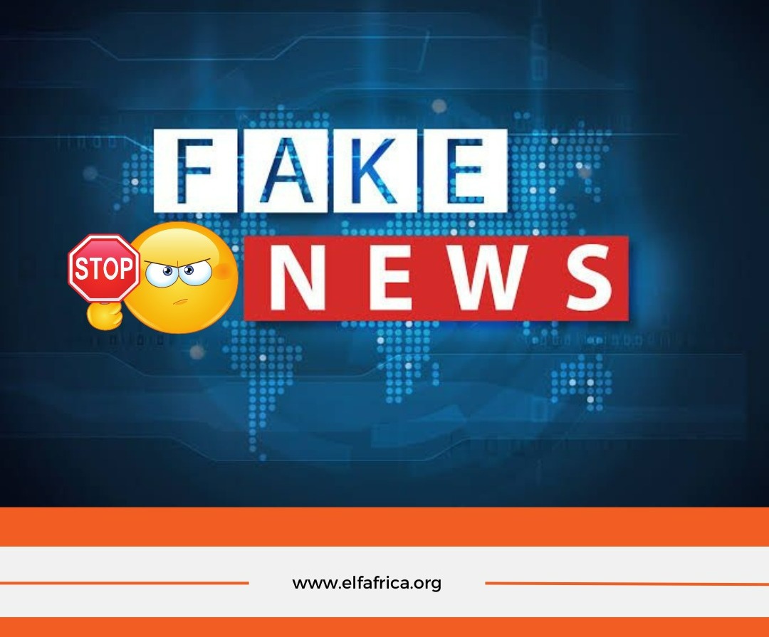 Emerging Leaders Foundation-Africa tweet media