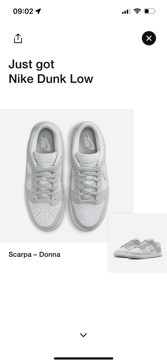 LilLo🐐💫 tweet media