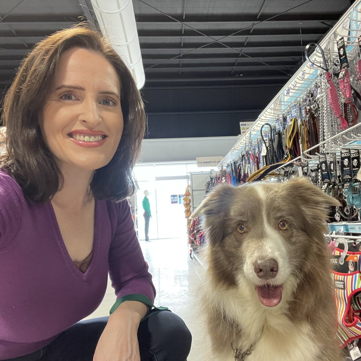 Panda was long overdue for a new leash and collar, so we checked out the new Petstock at Big Fish Junction on the weekend.

Panda was very happy with how many other doggo shoppers he got to say hello to while we were there!