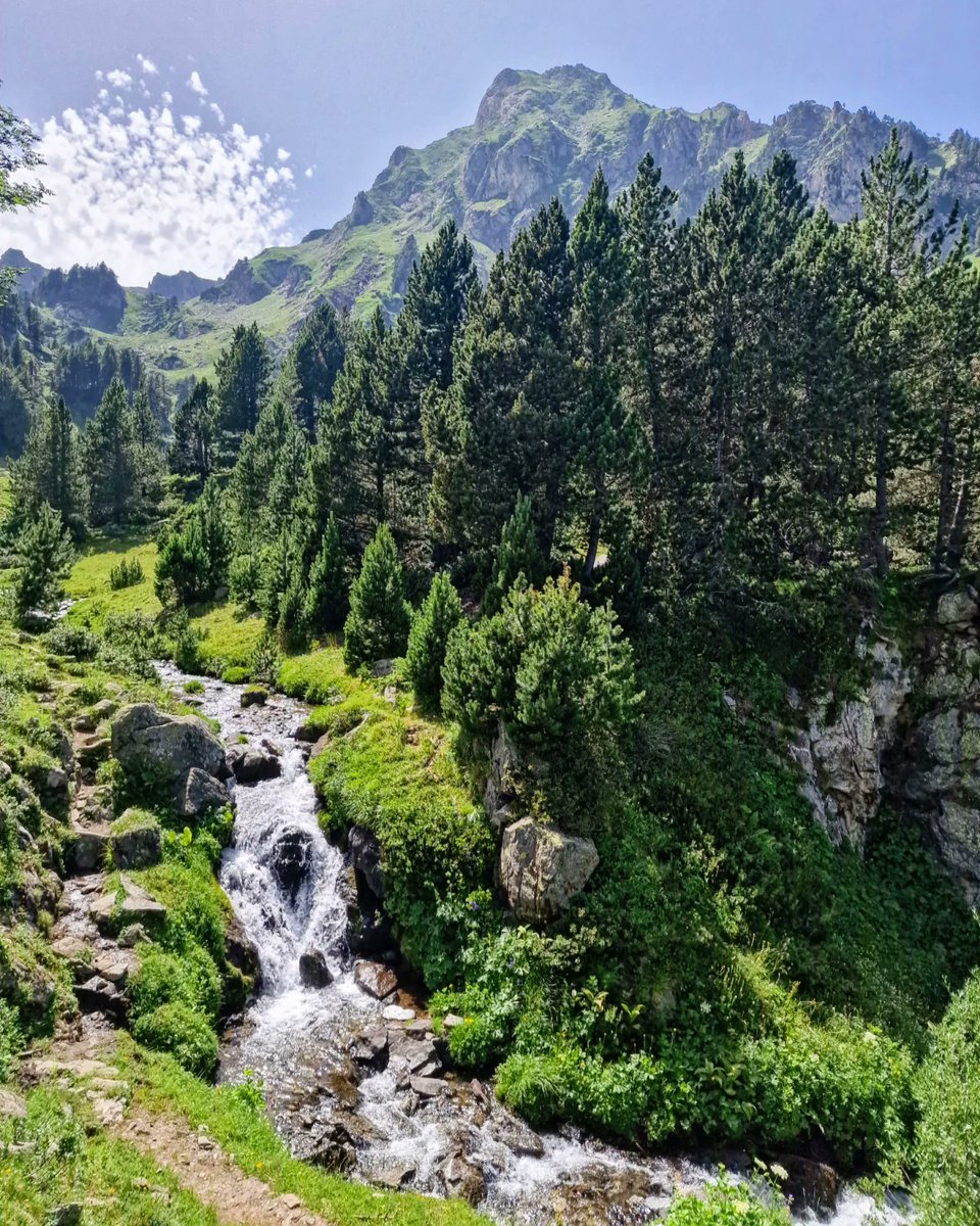 ricardrigall's tweet photo. El Roc Blanc. #laurenti #étangdelaurenti #rocblanc #artigues #donezan #arieja #ariège #bicicleta #btt #mtb #estiu2023 https://t.co/eIqD0Trhj7