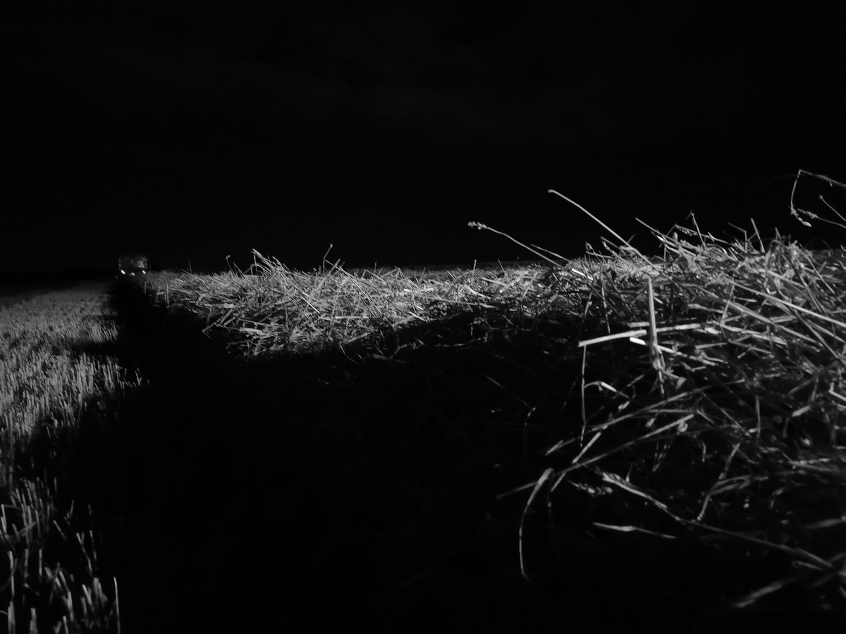 A_Beauc's tweet image. &quot;Au coeur de la nuit&quot;

@Fragritwittos
@chambagri_hdf
@hautsdefrance
@Agri_Gouv
@xavierbertrand
@Lesne_MS
#FrAgTw
#moisson2023
#FrAgMoisson2023
#harvest2023
#ceuxquivousnourrissent