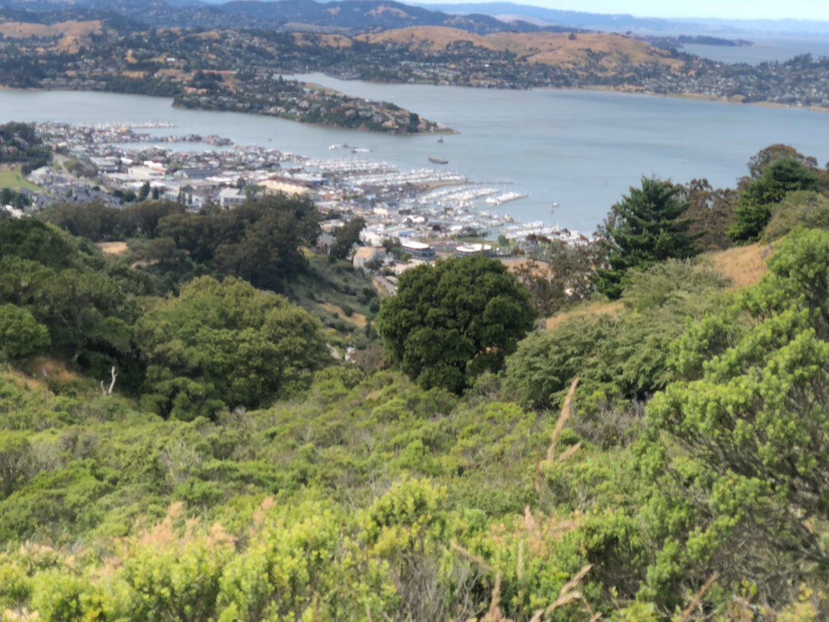 BoomerYessir's tweet photo. .@albolt76 @NoKittyNo1 
Wordle 760 3/6

⬛⬛⬛🟨⬛
🟨🟩⬛⬛🟨
🟩🟩🟩🟩🟩
#fitseries
Interior bay and southeastern edge of Marin. All my pictures from my humble iPhone X (thx @apple). https://t.co/CNRsBnUSt9