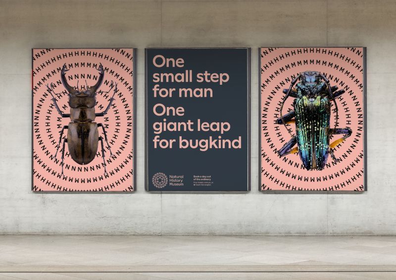 creativeboom's tweet image. News just in: @Pentagram and @nomad_studio__ create new branding for London's Natural History Museum bit.ly/3NX5Gc7 👀  #brandidentity #identitydesign
