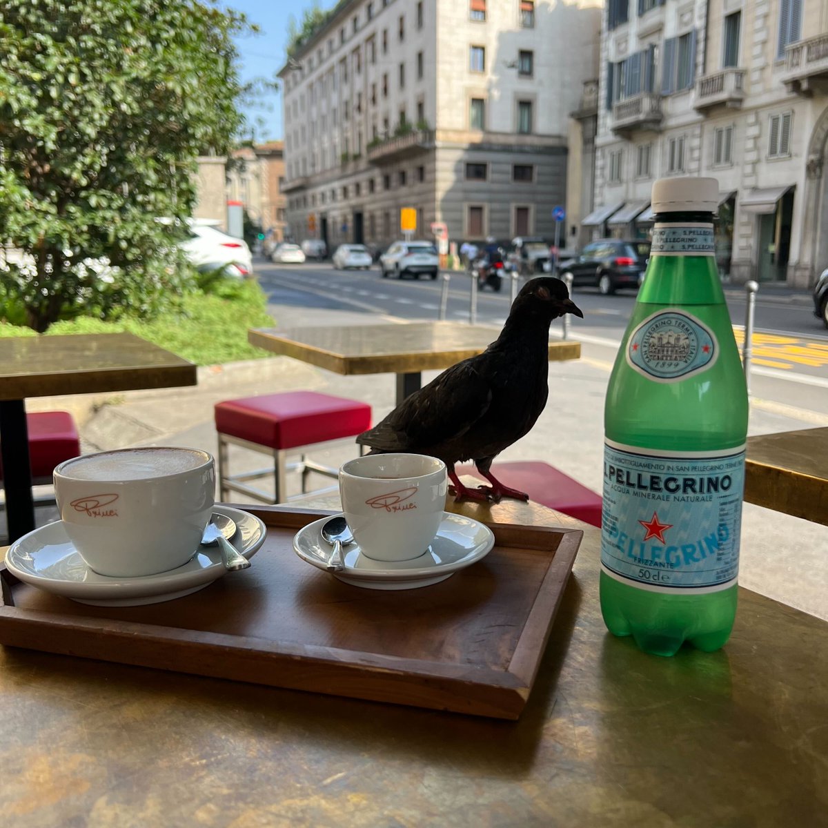 join_capital's tweet image. While most people are already on summer break, our founders are still traveling a lot, to #connectwith people from the #vc scene in #EU. Yesterday, great talk over a coffee with Andrea Gerannini from #2100vc and some stranger who joined our meeting 🦅 Ping us for a catchup w Jan