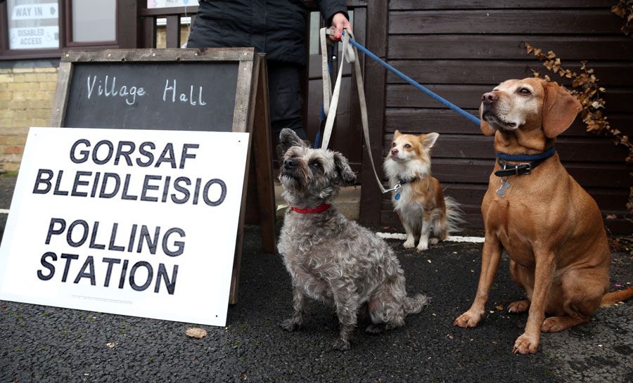 Polling Stations open from 7am-10pm on 20 July. The County Council Electoral Ward of Llanfarian Polling Stations are Neuadd y Paith Capel Seion or Llanfarian Village Hall. For the Llanddewi Brefi Community Council election, your polling station is Llanddewi Brefi Village Hall.