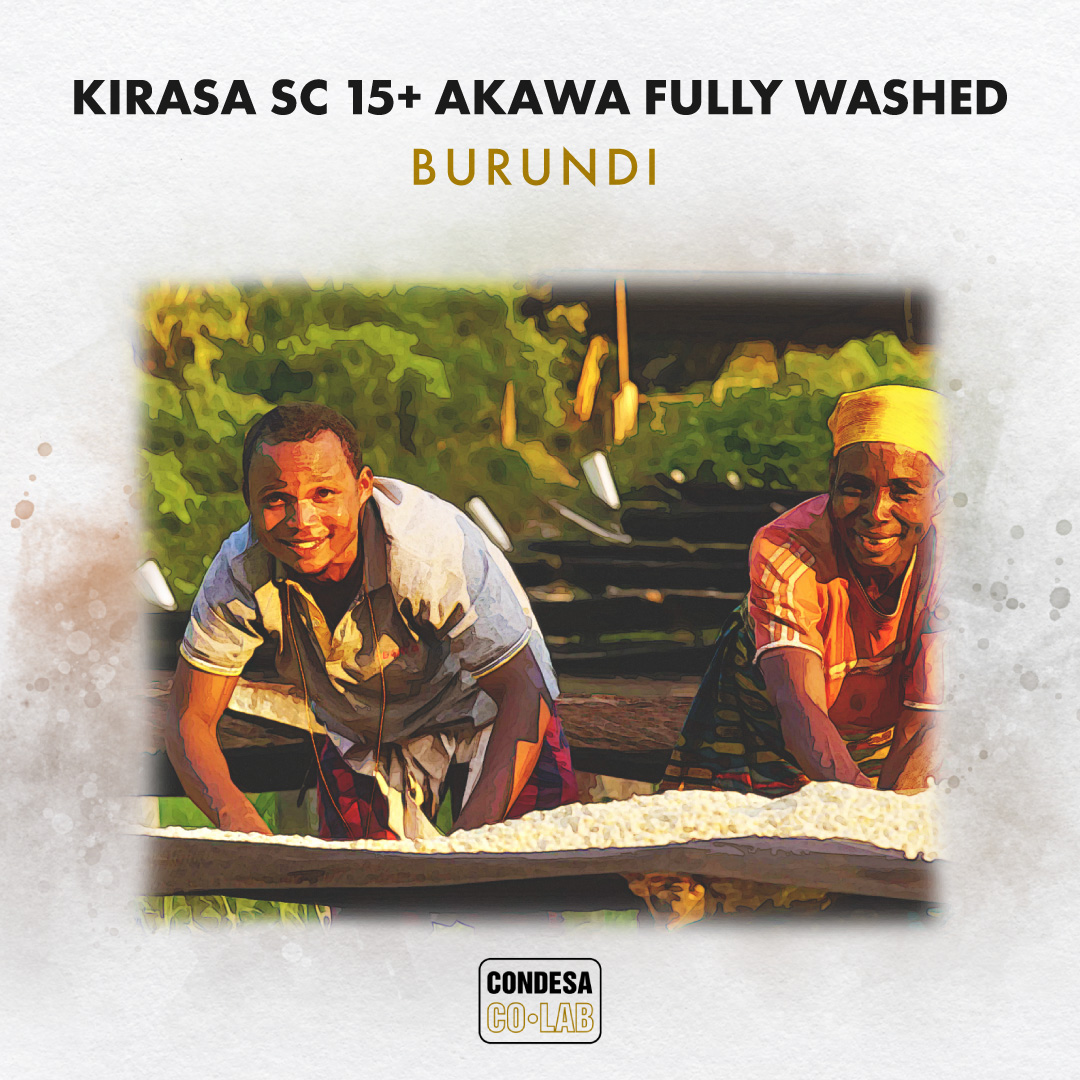 Condesa Co. Lab tweet media