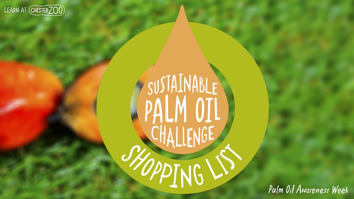 #PalmOil is in many products..from shampoo to cereal But it can be tricky to identify which items are SUSTAINABLE Our shopping list is a tool to empower people to make responsible choices & protect habitats of endangered wildlife🦧 chesterzoo.org/schools/resour… #PalmOilAwarenessWeek