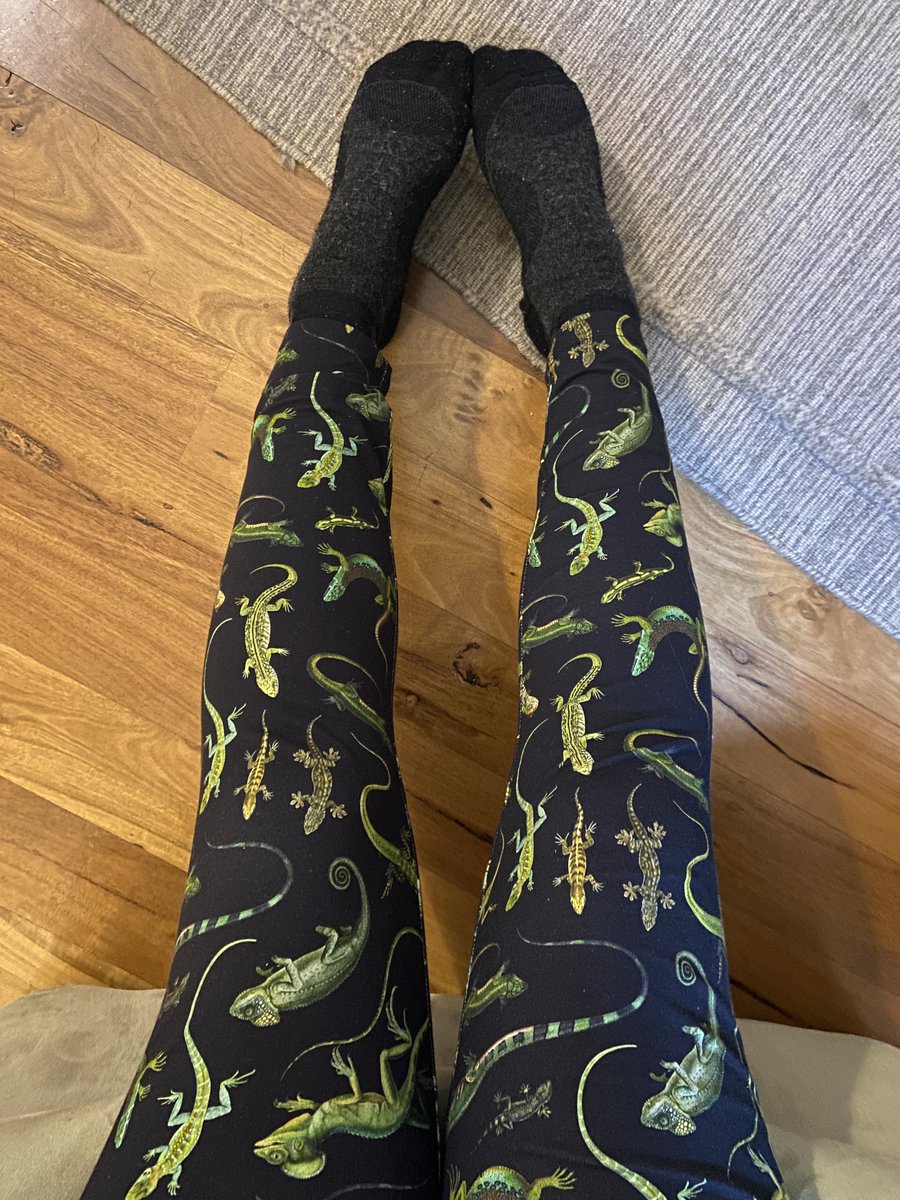 Judy Dunlop tweet media