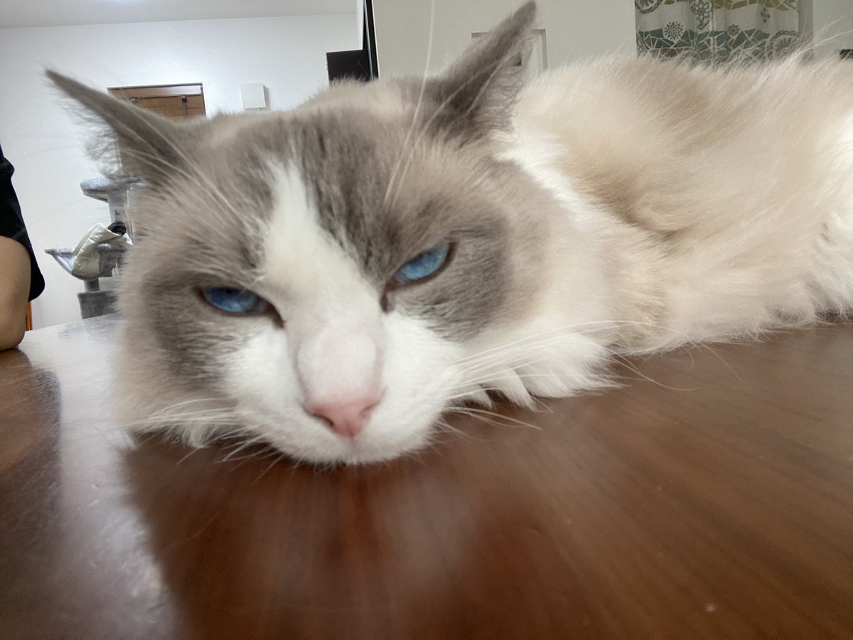 どーしたの！不機嫌のキワミ！！