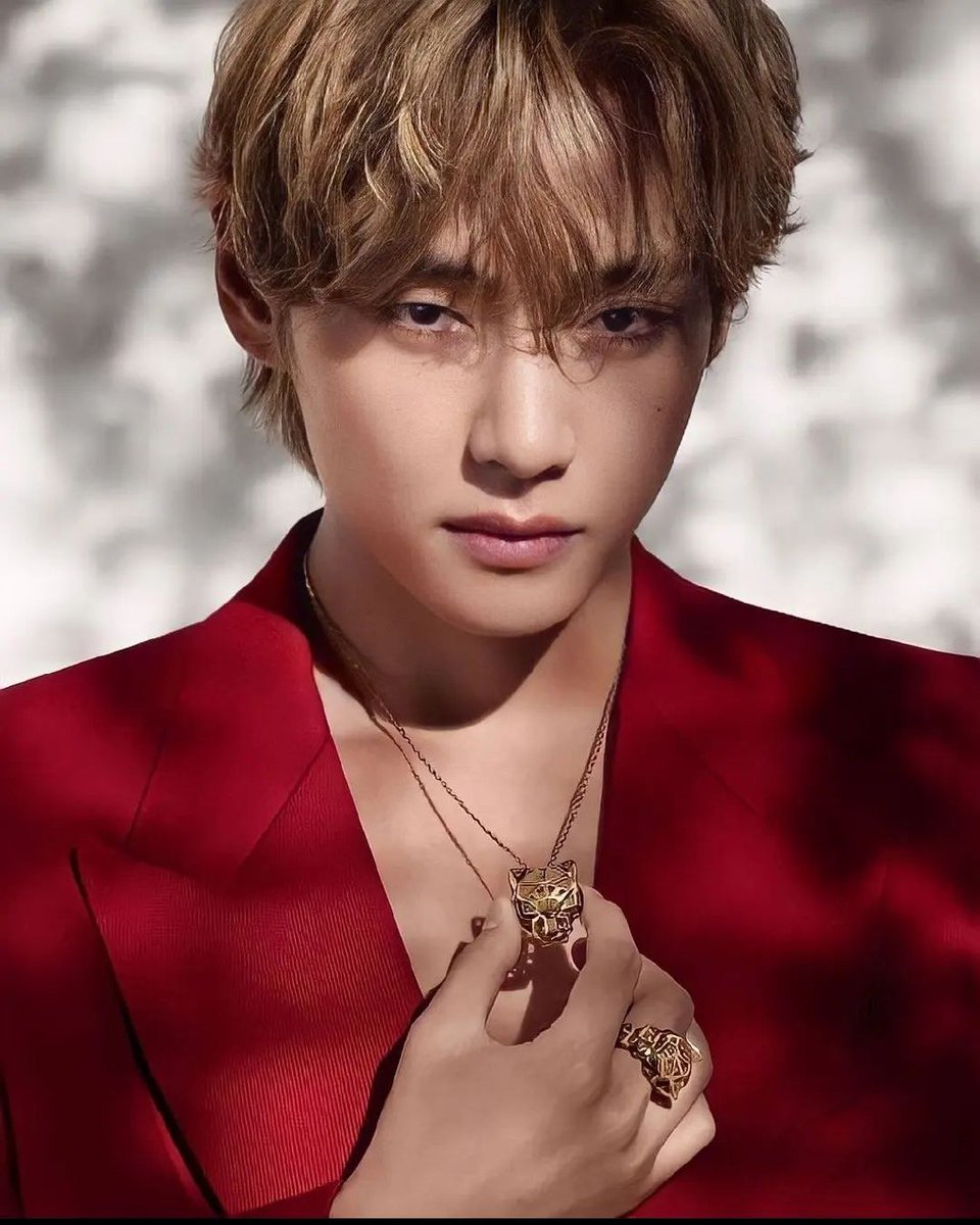 Pritiagenie🍀V𐤀JK🍀BTS ⊙⊝⊜ARIRANG tweet media