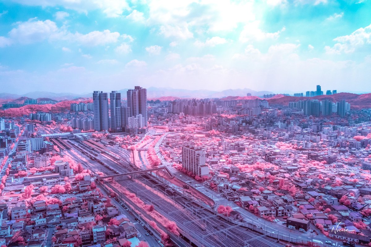 Seoul city 1080P, 2K, 4K, 5K HD wallpapers free download | Wallpaper Flare