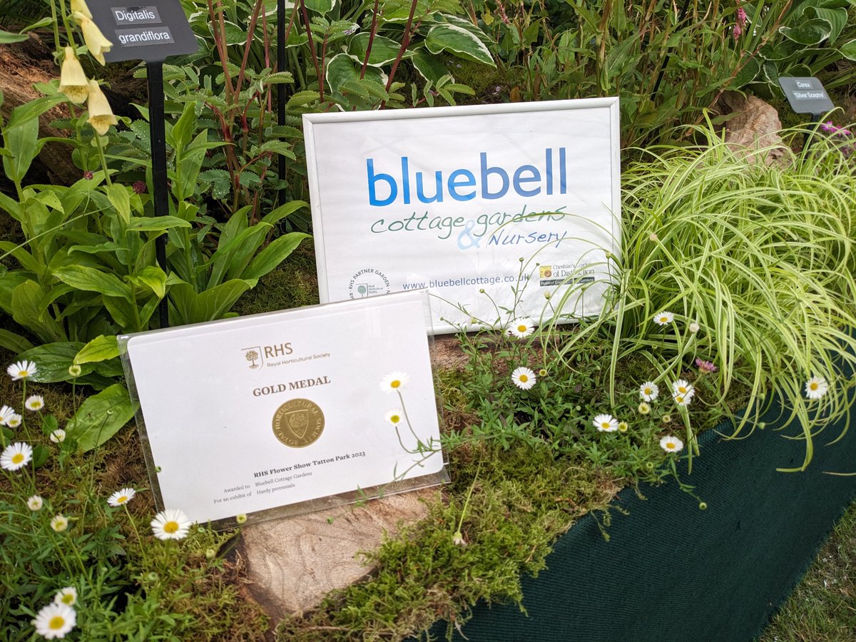 Sue Beesley tweet media