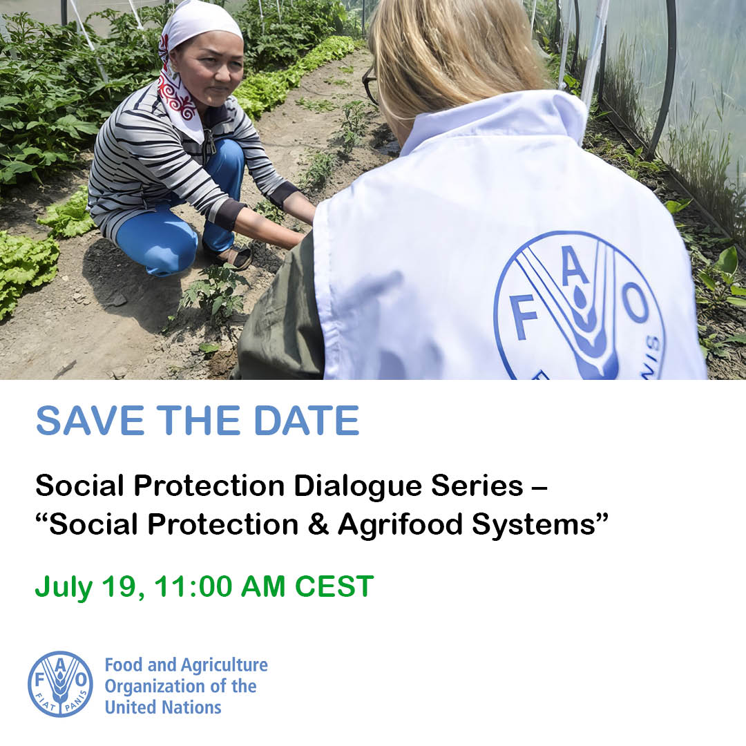 FAO Social & Economic Development tweet media