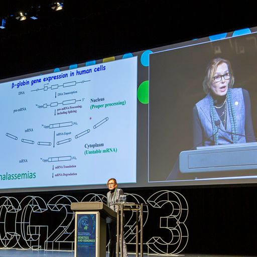 Genetics2023's tweet photo. Gruber Prize recipients Allan Jacobson and Lynne Maquat have given incredible talks showing how developing a deep understanding of core biological process can lead to treatments for human diseases. 
An inspirational talk based on several decades of meticulous research.
#icg2023 https://t.co/7yEvIeks6I