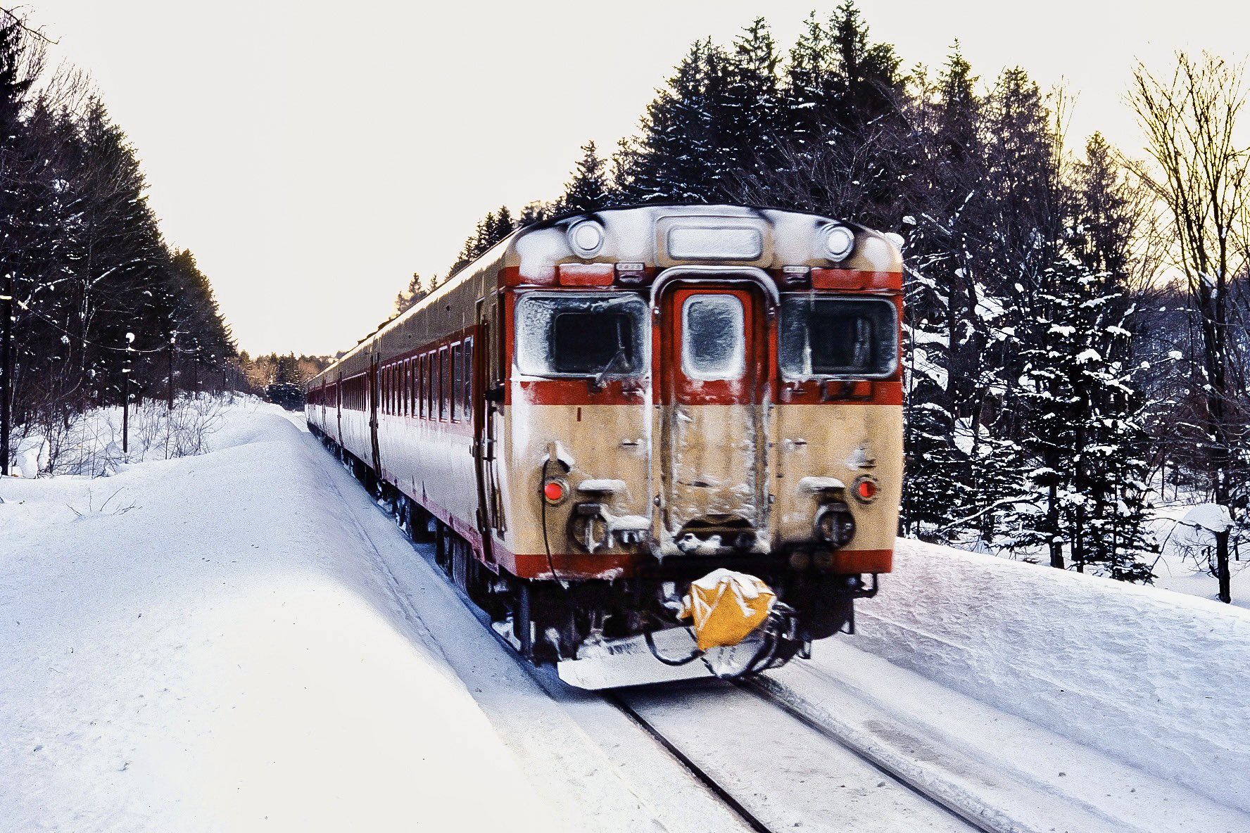 あおたけ on Twitter 