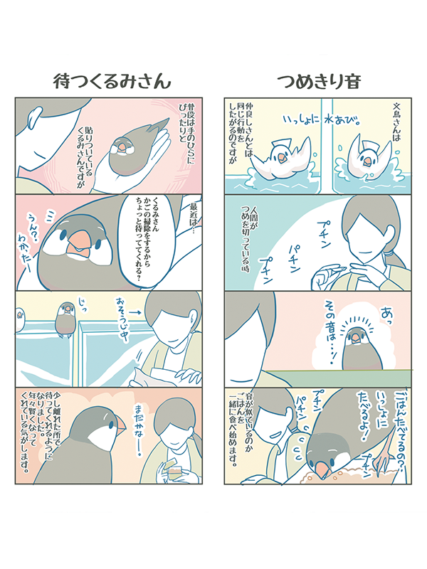 【おしらせ】電子書籍「BUNCHOBOXでんし4」が無事発売となりました。4巻とついていますが、ゆるいつながりなのでこれ一冊でも読めるようになっています。今回は里子に来た半荒鳥さんのお話が多めになっています。 よかったら、どうぞよろしくお願いします🐥🐣