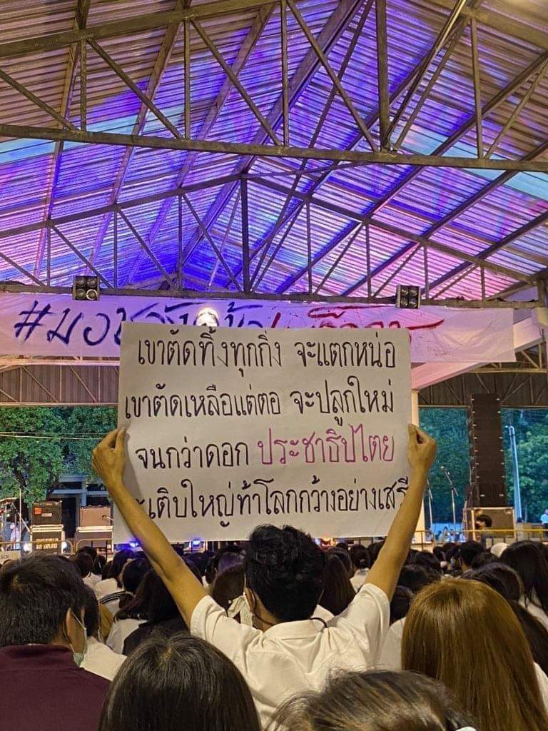 Comxtosynwa's tweet photo. ประดับไว้ในโลกา

#โหวตนายกรอบ2
#ม็อบ19กรกฎา66
#พิธา
#ศาลรัฐธรรมนูญ https://t.co/TnNo5DlAIs