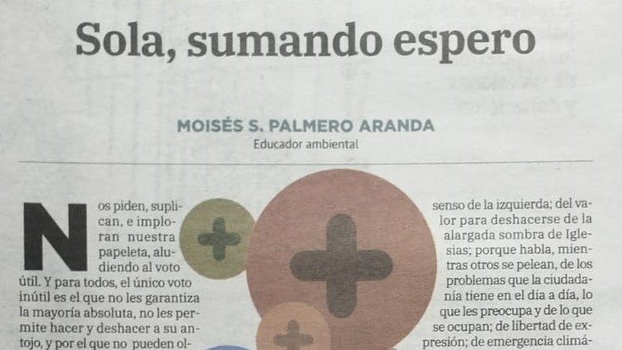 Moi Palmero tweet media