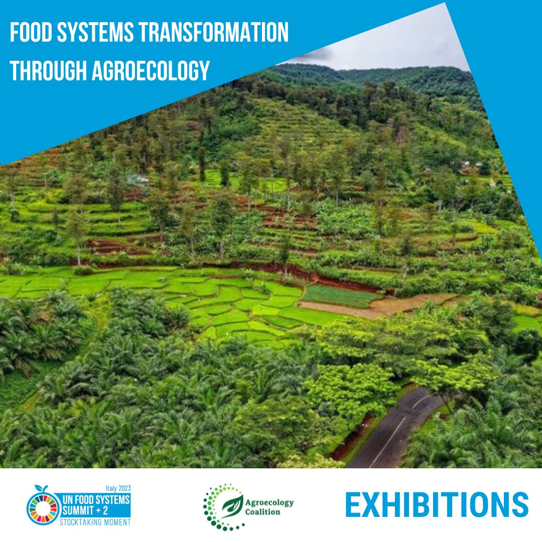 📍 During the #UNFSS @UN #FoodSystems Summit 24-26 July come and find us at our booth, in the Atrium (ground floor) at the @FAO building in Rome. We'll be happy to meet you and present you our projects. See you!  
@FoodSystems