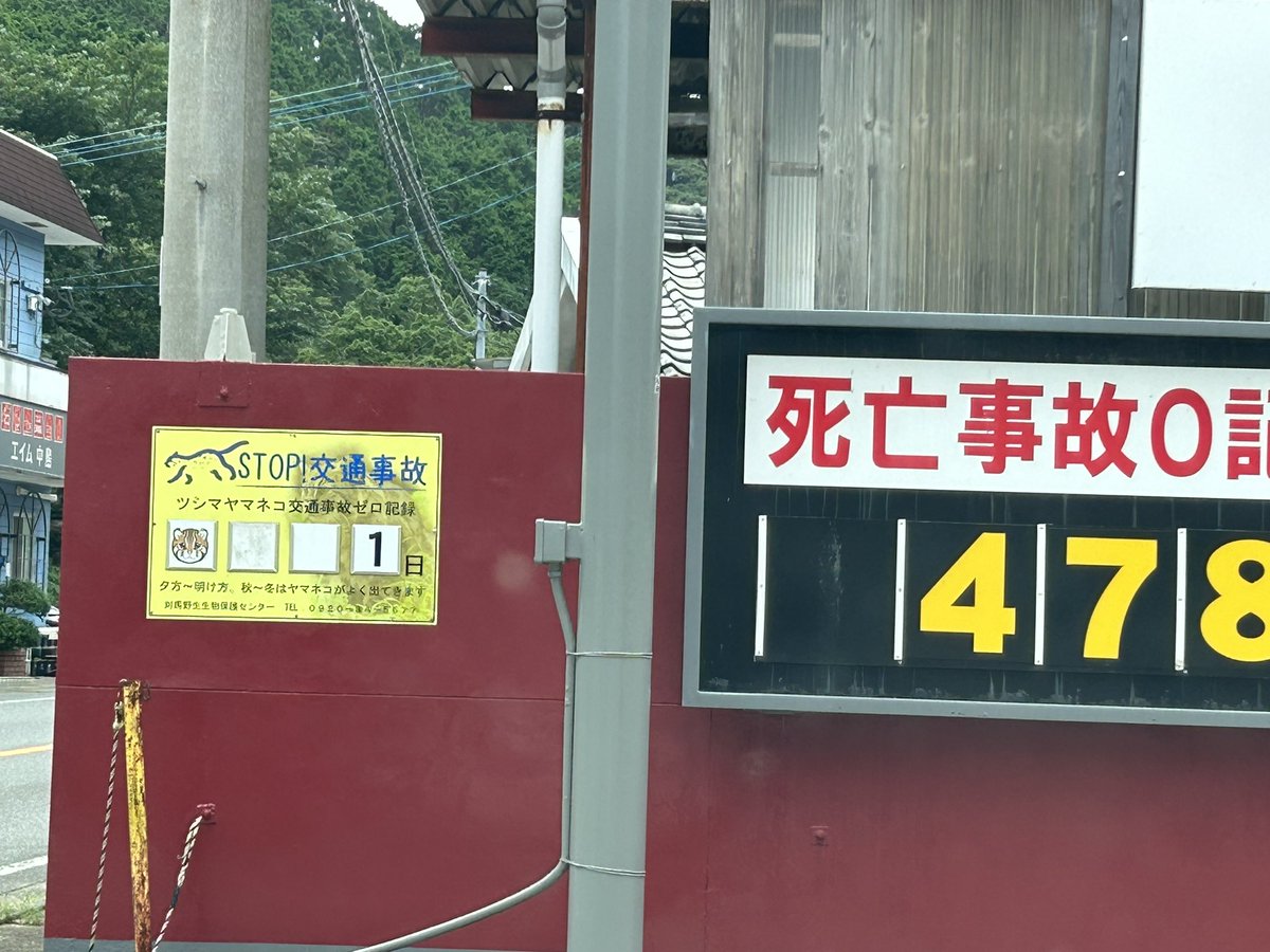 RRjpOCfTGXVwEGF's tweet photo. ツシマヤマネコの交通事故が振り出しに戻ってる。またどこかで轢き殺されたんだね。なくならないものだろうか。
#ツシマヤマネコ #STOPROADKILL https://t.co/jw2g01DH77