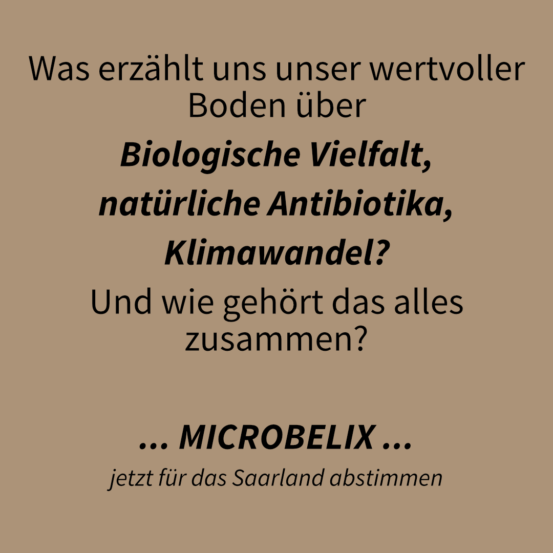 artenkenntnis's tweet photo. Ein Kooperationsprojekt zwischen dem Helmholtz-Institut für  Pharmazeutische Forschung Saarland (HIPS) und der Naturlandstiftung  Saar.

Zur Abstimmung: https://t.co/qQzTjRu6M5

#naturlandstiftung_saar #biodiversity #biologischevielfalt #antibiotika #microbelix #naturschutz https://t.co/cCbceQCtdM