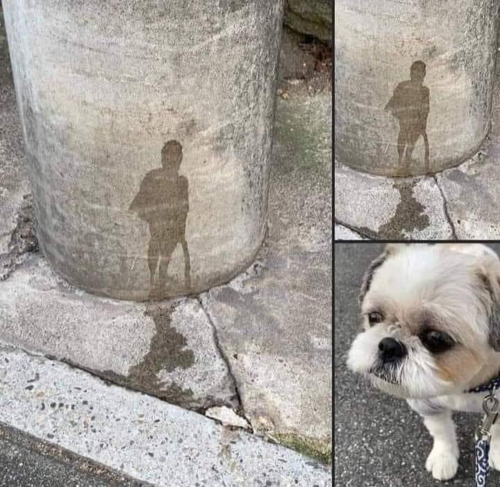 Title: 'The Lonely Man'
Author: Milo
Technique: Urine on concrete