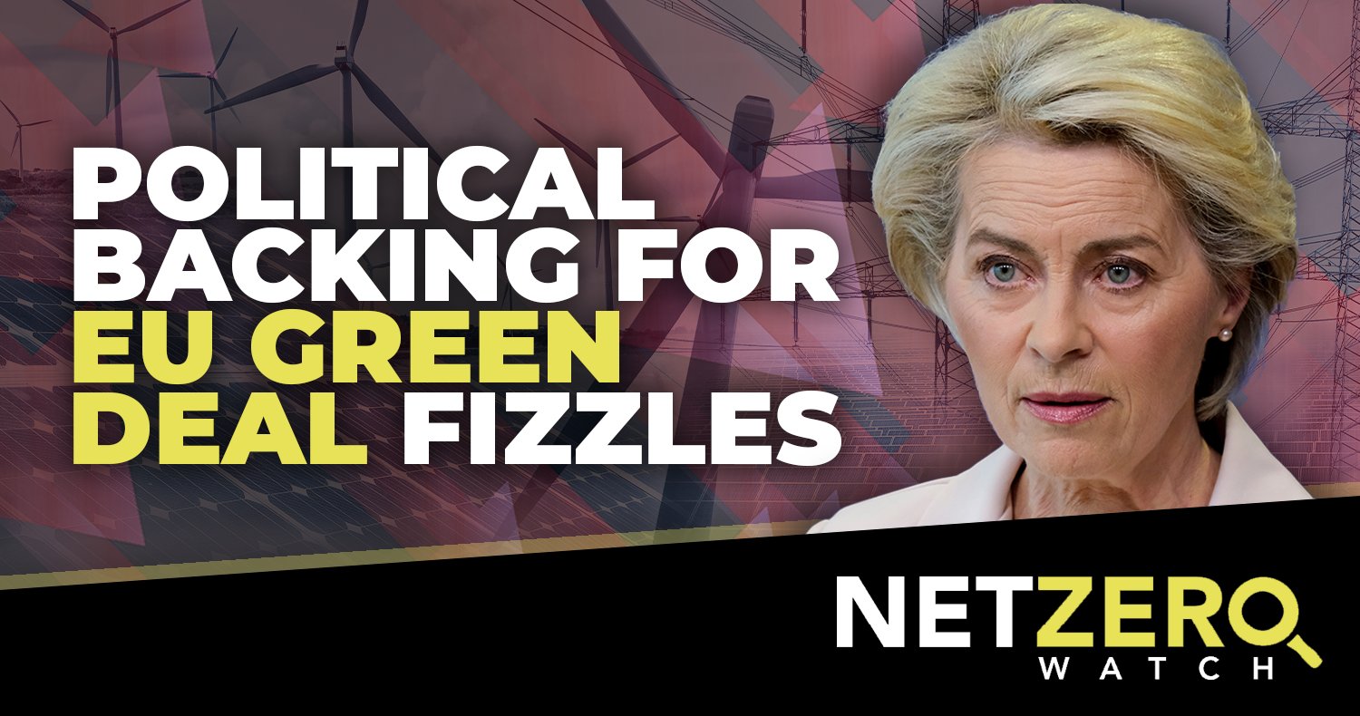 Net Zero Watch on Twitter "A growing number of European politicians