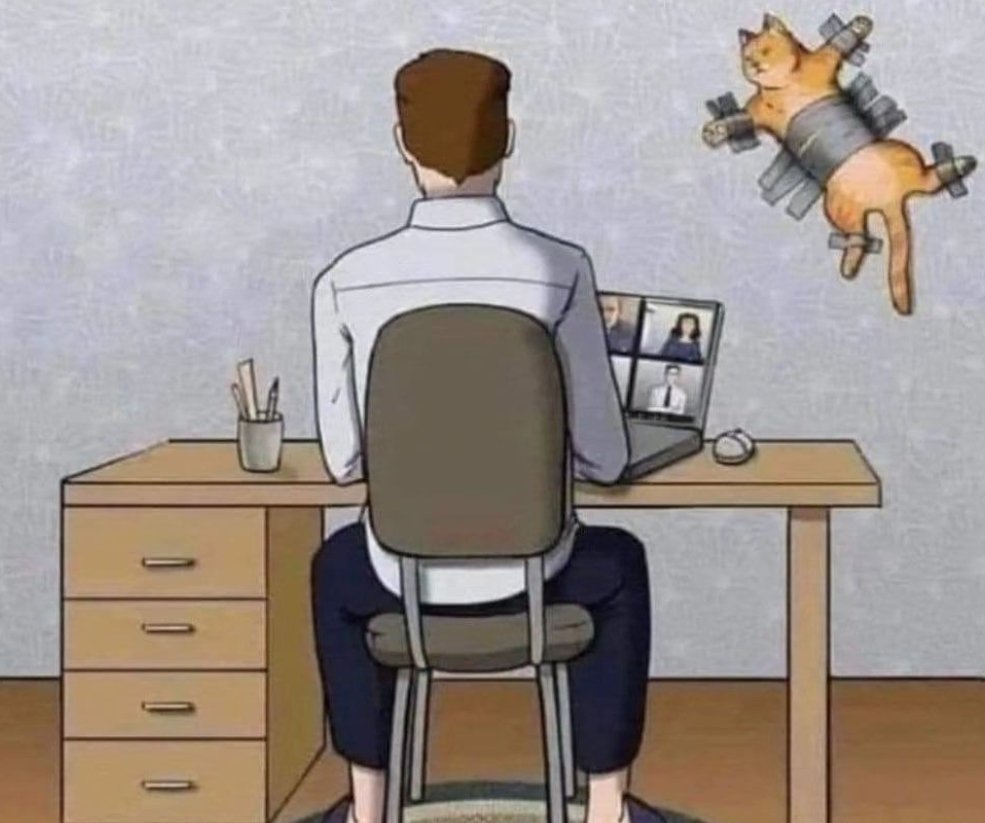 Kedili evde online toplantı 🤣🤣