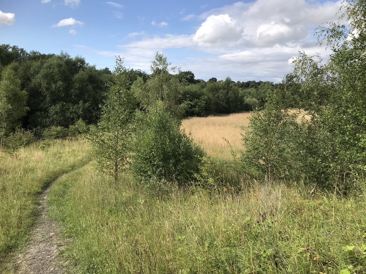 coal_legacies's tweet image. The pic of the former Smotherfly #opencast coaling site (1993-9) #Pinxton by @miningheritage prompted a visit to see the reclamation made doubly difficult by the chemical contamination
#coal #miningheritage #waste #reclamation #explore