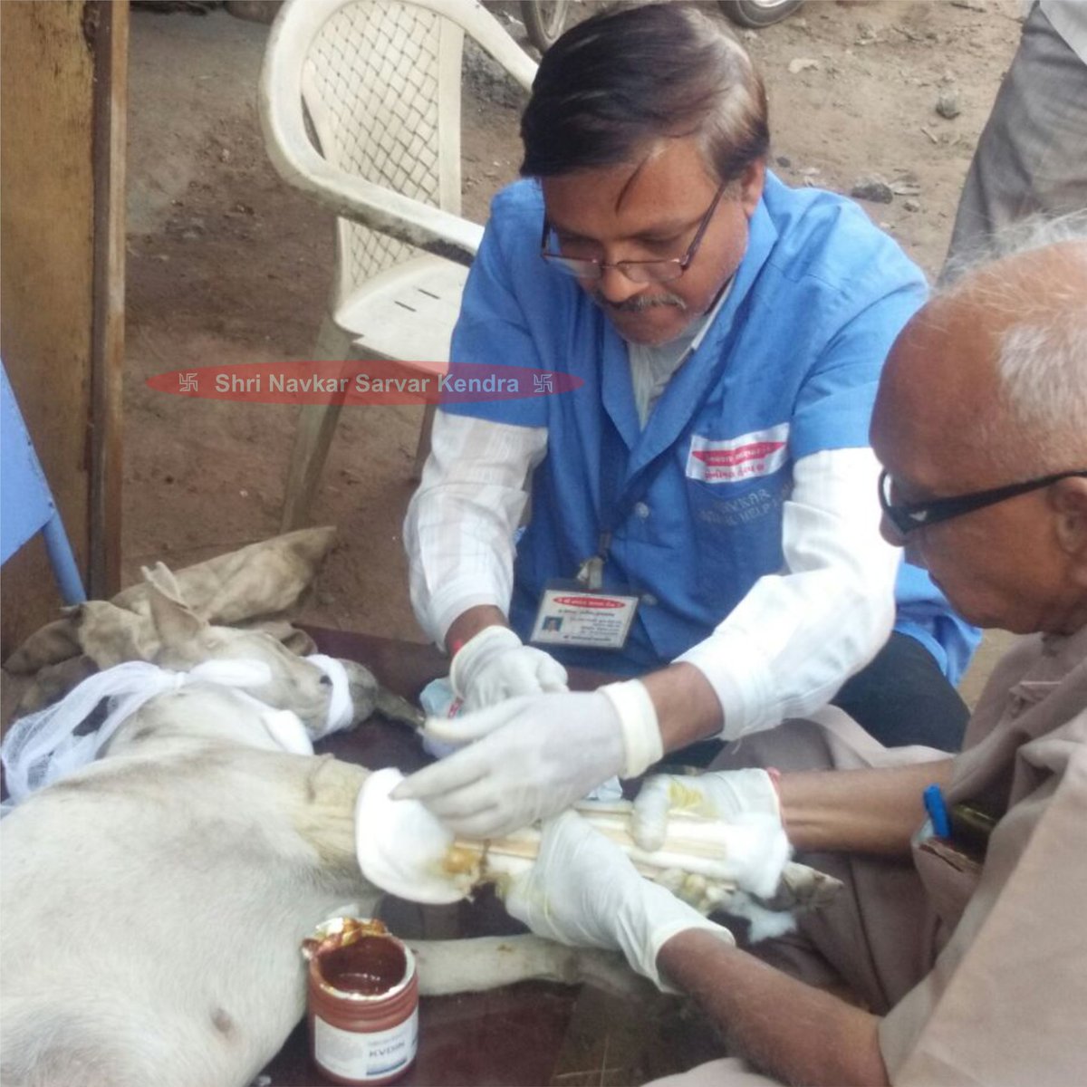 Jeevdaya Activity:The dog was tragically struck by a car, resulting in a broken leg. However, our veterinary team responded promptly to the scene, delivering the utmost care and administering the best available treatment and medication to aid in its recovery.
