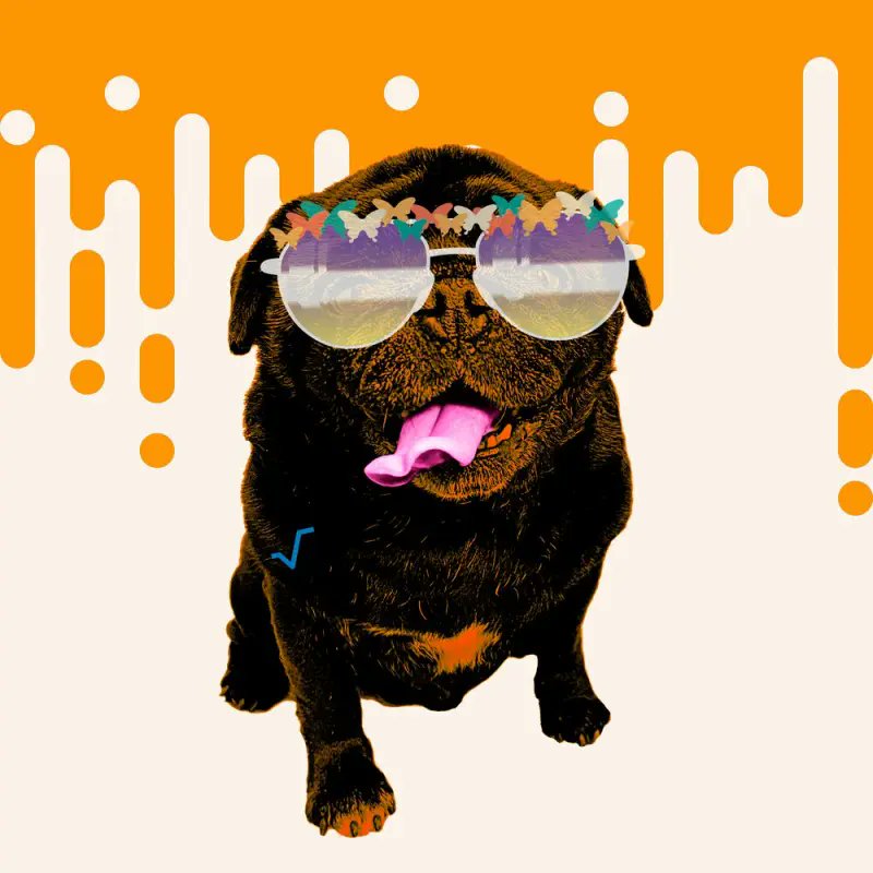 Celebrate Summer with #RadiPux 103! 🌞 
Fun Fact: In <a href="/battlecardson/">Battle Cards Online</a>, $PUX are your fast lane ticket to endless fun &amp; adventure. 
Make sure to grab your $PUX now! 🏖️ 
bco.rocks/pux103
#NFTs #Web3Gaming #BattleCardsOnline #RunsOnRadix